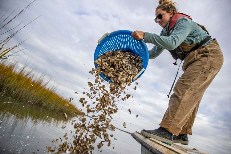 Post and Courier features Barrier Island Oyster Co. 